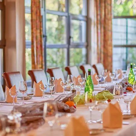 Mercure An Den Salinen 4* Bad Dürkheim