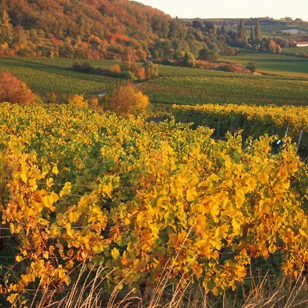 Hotel Mercure An Den Salinen