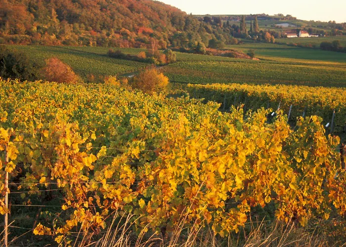 מלון Mercure An Den Salinen